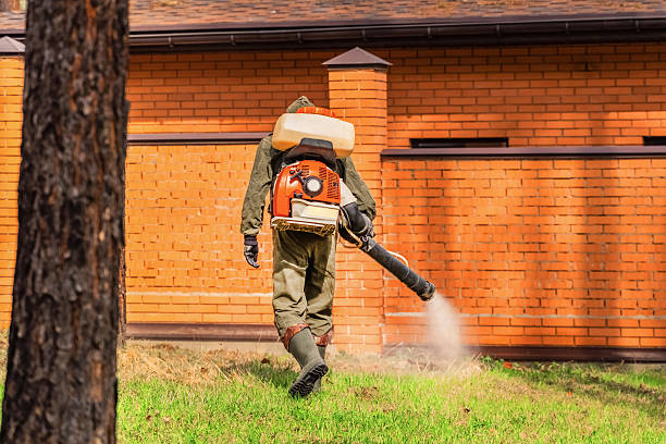 Trusted Mosquito Control service in Whiteville, TN - Nex Pest Control